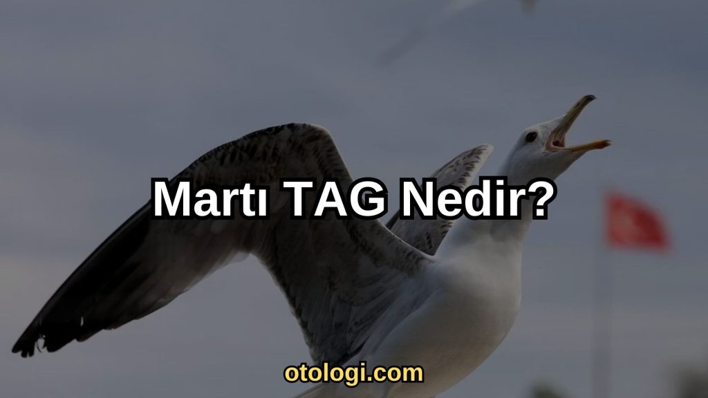 Martı TAG Nedir